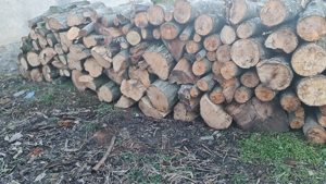lemn pentru foc - imagine 4