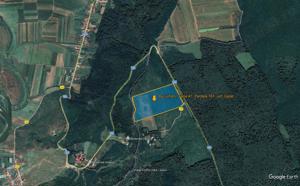 Pădure Buciumeni, S-31,5 ha