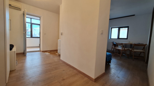 Apartament în Vilă 2 Camere zona Mall Vitan, Piata Alba Iulia - imagine 16