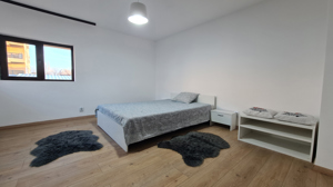 Apartament în Vilă 2 Camere zona Mall Vitan, Piata Alba Iulia - imagine 2