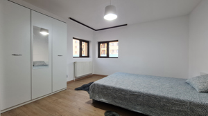 Apartament în Vilă 2 Camere zona Mall Vitan, Piata Alba Iulia - imagine 8