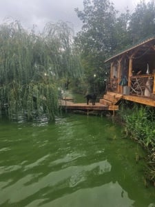 Vand casa tip Hobbit cu ieșire la lac  - imagine 10