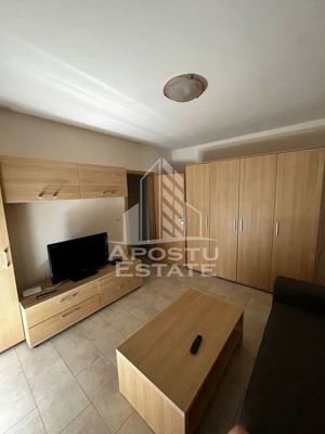 Apartament 2 camere, Centrala Proprie, Lipovei - imagine 4