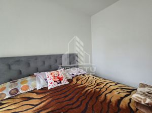 Apartament decomandat, cu 2 camere, etaj intermediar,  Aradului - imagine 3