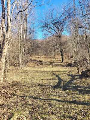 Teren de Vânzare - Zona Linistita - Provita de Jos (Prahova)  - imagine 5