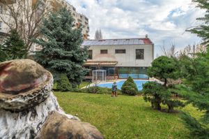 Vila elegantă, spații generoase, finisaje premium, piscina, 3000mp - imagine 8