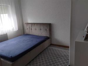 Apartament 2 camere decomandat, mobilat, etaj 1, zona Torontaluli - imagine 5