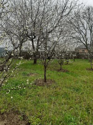 Teren de vânzare în Ștefănești, jud. Argeș - imagine 2