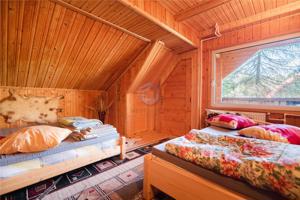 Cabane cu 10 camere Arieseni - imagine 9