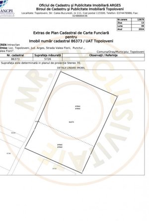 Teren Intravilan Topoloveni cu priveliste superba - imagine 3