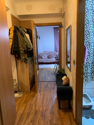 Apartament 2 camere, ANL Brancusi, metrou Valea Ialomitei, Drumul Taberei - imagine 10