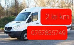 transport animale,mobila 