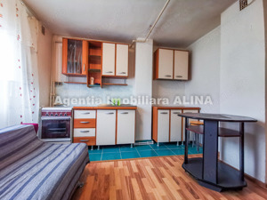 Apartament cu o camera in Deva, zona Progresului, Str. George Enescu, suprafata utila 41 mp, etaj 3 - imagine 5