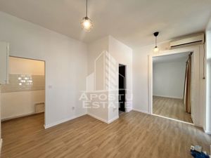 Apartament 2 camere în Curte Privată in Piata Maria - imagine 5