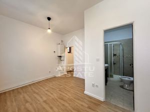 Apartament 2 camere în Curte Privată in Piata Maria - imagine 6