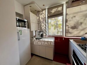 Apartament 3 camere,Pet Friendly,centrala proprie,zona Lipovei - imagine 9