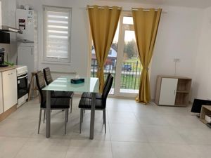 Apartament cu doua camere de închiriat in Giroc- - imagine 14