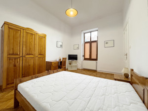 Apartament cu o camera, 40mp utili -Piata Unirii  - imagine 3