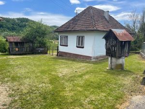 Casa de vânzare sat Ribița cu 50 de ari de teren - imagine 5