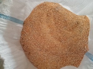 vând porumb  - imagine 2