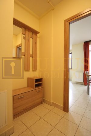 Apartament 1 camera cu dormitor, centrala proprie, zona Soarelui - imagine 4