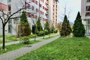 Apartament 1 camera cu dormitor, centrala proprie, zona Soarelui - imagine 2