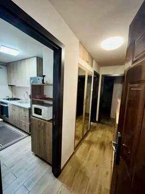 Apartament Pet Friendly Blascovici City of Mara Circumvalatiunii Gara de Nord Bogdanestilor Mehala - imagine 3