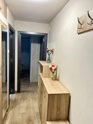 Apartament Pet Friendly Blascovici City of Mara Circumvalatiunii Gara de Nord Bogdanestilor Mehala - imagine 2