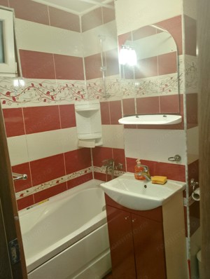 CI507 Torontalului,Iulius Mall,2 camere,Renovat - imagine 10