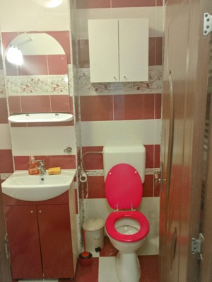 CI507 Torontalului,Iulius Mall,2 camere,Renovat - imagine 9