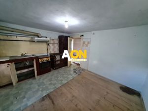 Casa 3 Camere + Demisol, Teren 287 mp, Zona Cetate - imagine 22