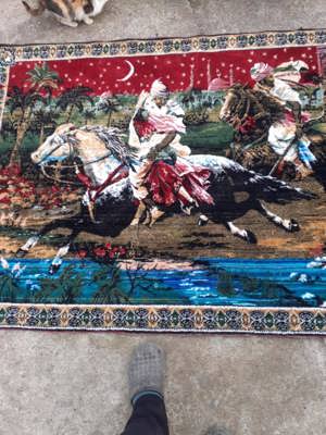 Carpeta Răpirea din Serai - imagine 2