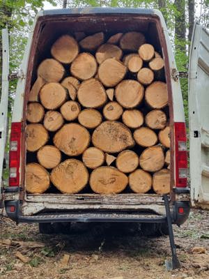 vand lemne de foc - imagine 3