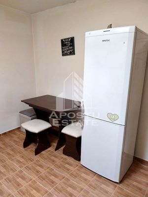 Apartament cu o camera, mobilat, zona Dambovita - imagine 3