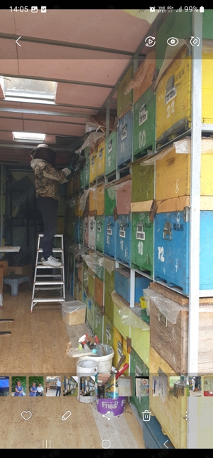 Camion apicol 2003 - imagine 4