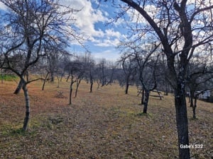 Teren casă Valea Danului, Argeș  - imagine 3