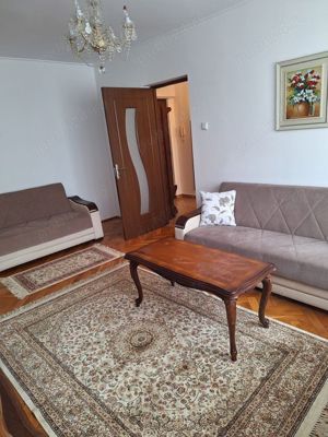 apartament 2 camere teiul doamnei