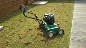 Aerarea si scarificarea gazonului 