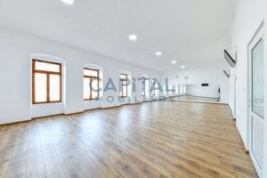 Spatii comerciale de inchiriat in zona Ultracentrala! - imagine 4