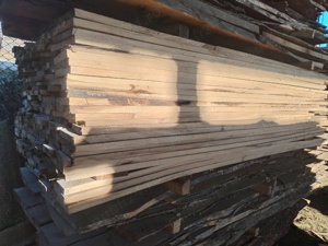 Cherestea tei tivită și netivita  - imagine 4