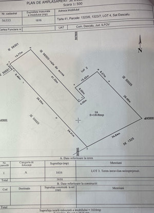 Teren 1616 mp Dascalu - imagine 3