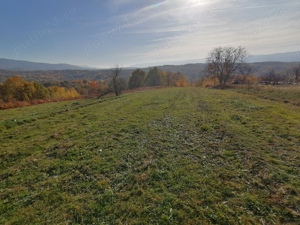 Vând teren lângă Borlova(1,5km) de sat 5755mp,4euro mp