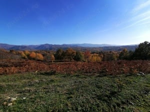 Vând teren lângă Borlova(1,5km) de sat 5755mp,4euro mp - imagine 7