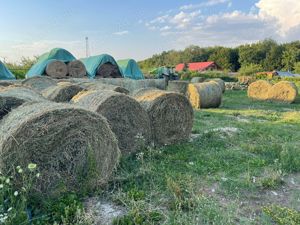 Baloți de calitate in Botosani de fan si semifan din lucerna în  agricultură ecologică sau schimb