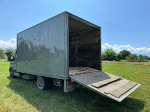 Transport animale vii.