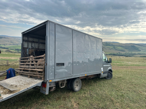 Transport animale vii. - imagine 2