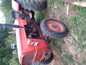 Vind tractor fiat  someca  - imagine 7 Vind tractor fiat  someca  - imagine 7