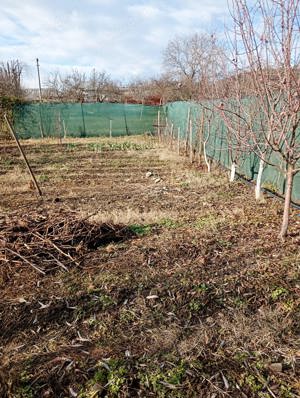 Topoloveni: Loc casa gradina cu utilitati si anexa locuibila - imagine 8