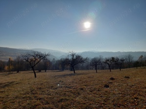 Teren intravilan de vanzare - Suprafata mare