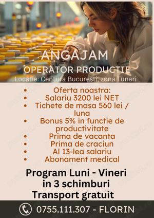 Operator productie, fabrica de ingrediente pentru prajituri